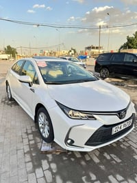 كورلا 2024 خليجي رقم اربيل جديد باسمي تحويل ثاني يوم مكفول صبغ ضربه تب...