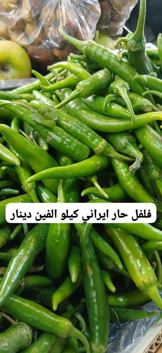 #كل_يوم_طلبيات_مفتوح_ومسواك_جديد_متوفر_يوصلك_للبيت_فقط_عليك_تحجز_وبالخدمة
 🍎🍉🥦🥕🍓🌶🍒🍋🍄☘️🫛🌱🔥🔥🔥🔥🔥
#متابعين_فواكه_وخضروات_ابومصطفى_في #خانقين
‏
‏🔹 «اختار المعروض بالصور والأسعار الظاهرة امامك وأرسل الطلب عالواتساب أو المسنجر»  على الرقم الاسفل👇

‏
‏                 الواتساب  ***********.
‏                 التليكرام ***********
                 الفايبر ***********
                ماسنجر / فواكه وخضروات ابو مصطفى 
#الجميع

‏
