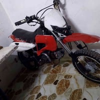 قەزاف • بچوك • شغال