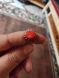 مرجان • مراوس • حسب القناعة