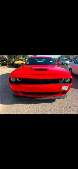 بسم الله ماشاء الله ( للبيع )
جالنجر RT 2023هيمي 5.7  كير عادي 

تشوفه غاليه عليك اتركه مو الك السياره 

فقط للجنايه واصحاب الاستعراض والساحات

2023 الون مميز.Orange برتقالي

السياره ماشيه 2000mil  اخت الزيرو

قطعتين صبغ اماميه بنيد+ جاملغ 

وبيه بارد  ربع الباب الصدر وربع جاملغ الخلفي

السياره كير عادي يعني طرب اونسه بالساحات ع اخر حبه

منفيس ابسمي دخول جديد السياره

السعر بدون رقم 175ورقه 

مكانه بغداد 

***********
