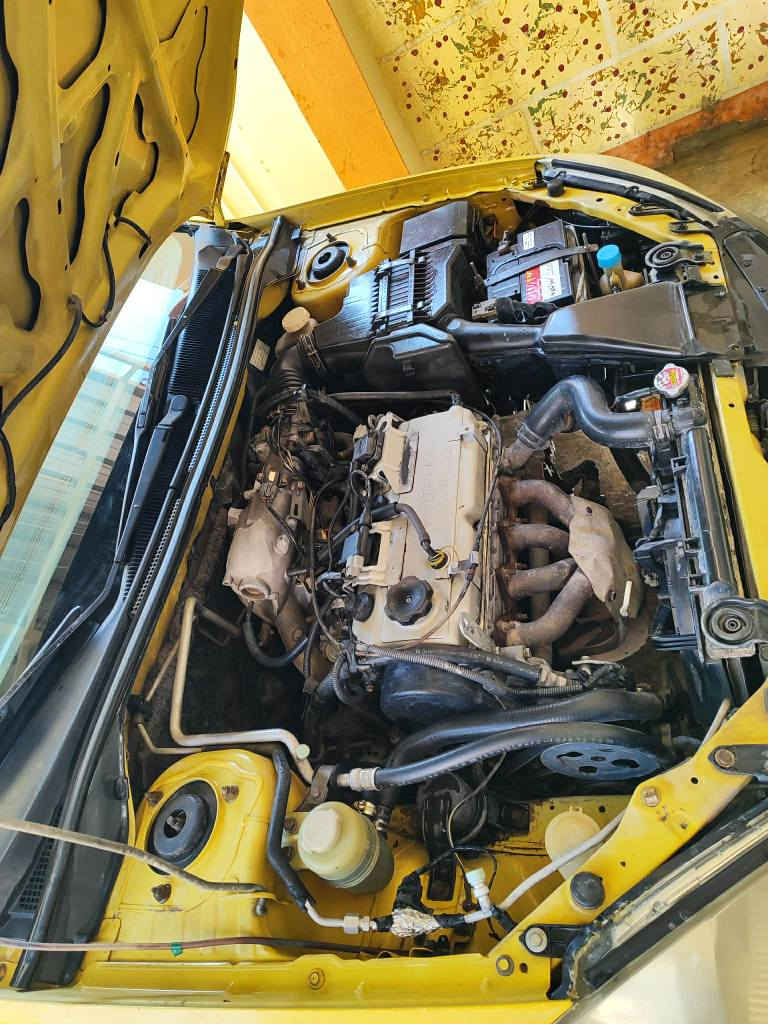 لانسەر مۆدێل 2010 
تەبریت گێڕ عادی 
جام کارەبا بەشەرتی 
مەکینەو گێڕو تەبریت
پاشو پێشی کەپسە
ماڵی دۆستە شوێن سموود 
45گڵاو مەجالێکی زۆر کەمی تیای
سەنەوی پلاستیک بەشەرتی حاسیبە

+9647718333278 كالار, السليمانية
