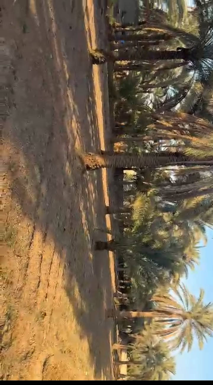 اللهم صل على محمد وآل محمد
بستان للبيع كربلاء الحر السوادة 
طابو سند 25 تحويل مباشر 
المساحة 1 دونم 2500 متر 
خدمات متوفرة للاستفسار 
***********
***********
