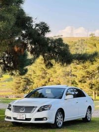 أفالون ليمتد • ٢٠٠٨ • حلبجة