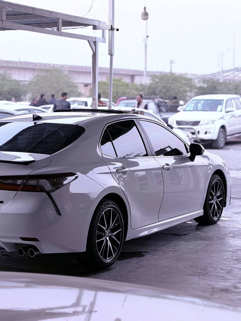 🔷اللهم صلي على سيدنا محمد واله وصحبه 
وسلم🔷

#تويوتا__كامري__SE_بلاص_

موديل2024

سعر27500$

المواصفات 
سقف سلايت
بصمه تشغيل
تشغيل عن بعد
بصمة ابواب
شحن تلفون لاسلكي
كشنات تدفئه
ستيرن تدفئه

ضرر فقط جامرلغ مفتوح

بدون دواخل بدون ارباك بدون تبديل  بدون صبغ

شرط الفحص

شرط الترقيم

كاتي دخول جديد

يترقم دهوك اربيل سليمانيه

#للأتصال***********

       🔷للفخامة عنوان وعنوانها الملوية 🔷
