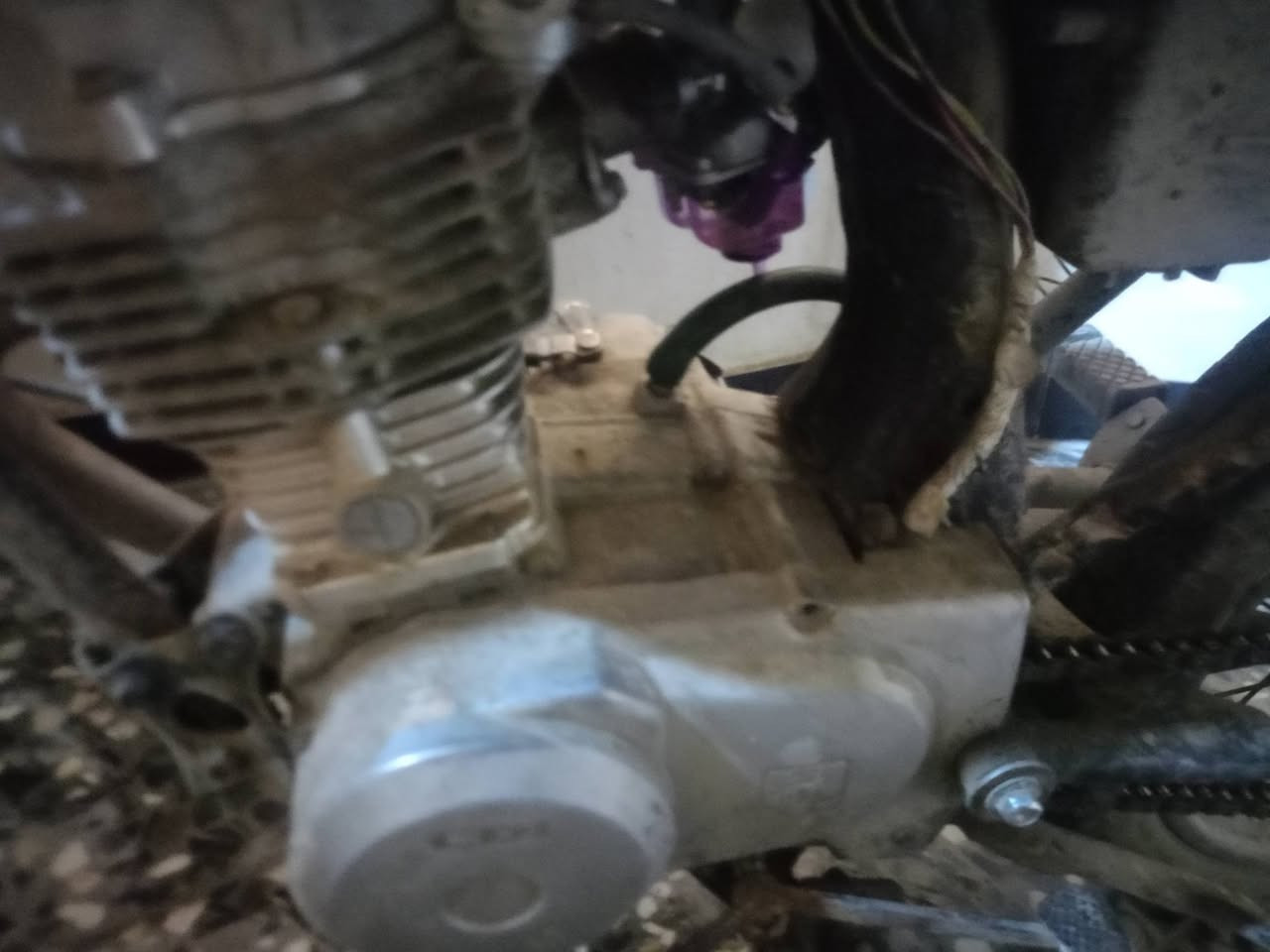 للبيع ايراني نامه شلامجه مكينه نشطه وما توكفك السعر 300
‪0776 053 0659‬‏
