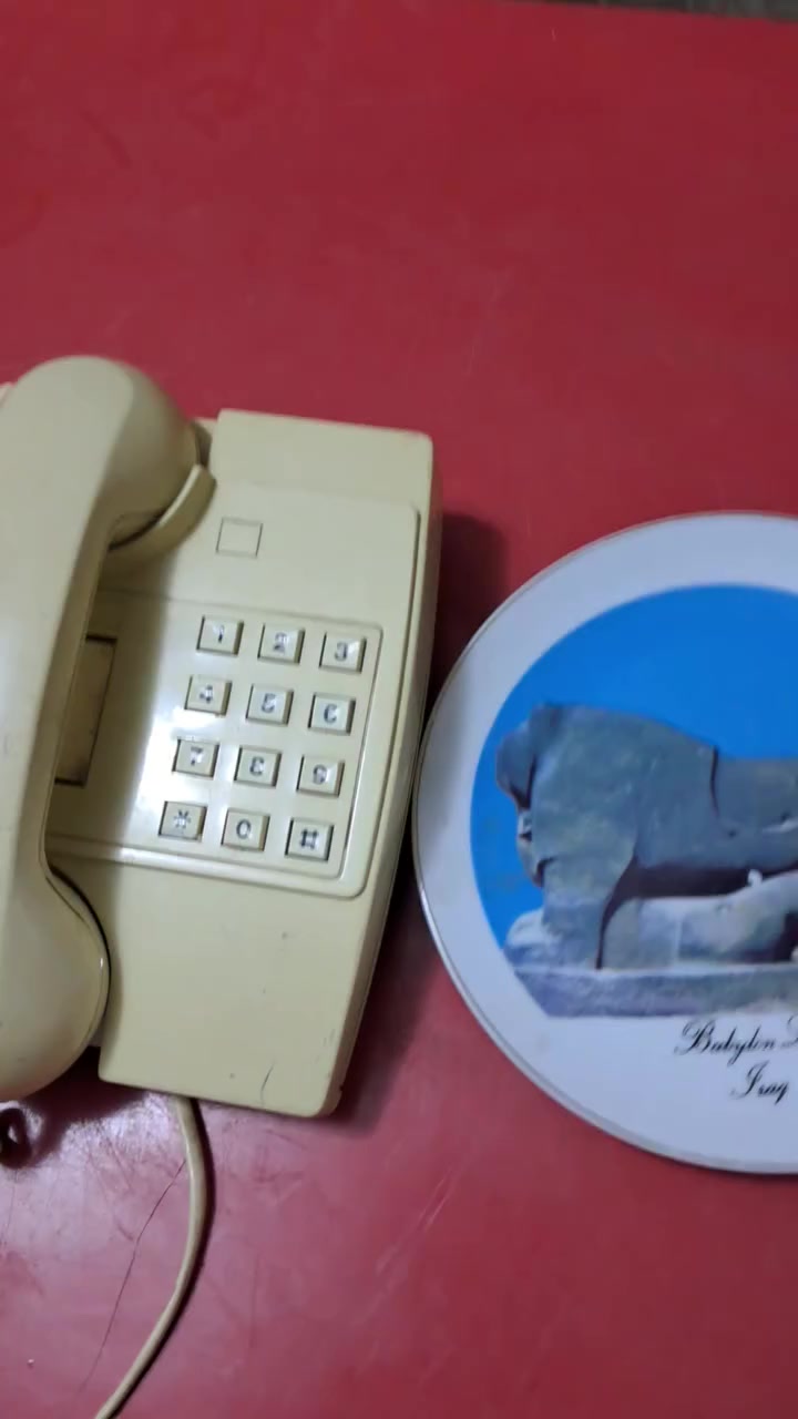 صناعة عراقيه قطعتين مع التوصيل ٣٥الف قفل 🔐 🔐 🔐


**إذا كنت صاحب هذا الإعلان وتريد حذفه لأي سبب، رجاءا أرسل رسالة إلى الدعم الفني**