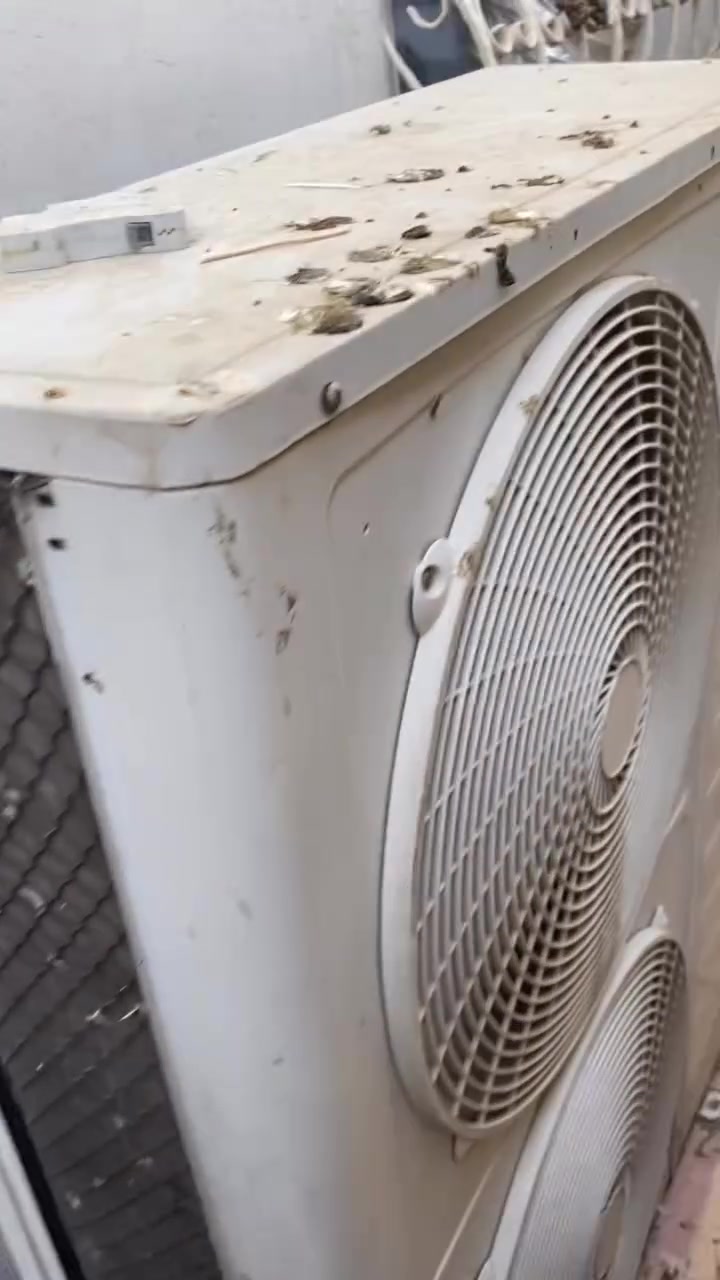 سبلت للبيع كنتوري شغال درجه اوله تبريد فول
+سبلت عاطل +خارجيه ٢طن للبيع


**إذا كنت صاحب هذا الإعلان وتريد حذفه لأي سبب، رجاءا أرسل رسالة إلى الدعم الفني**