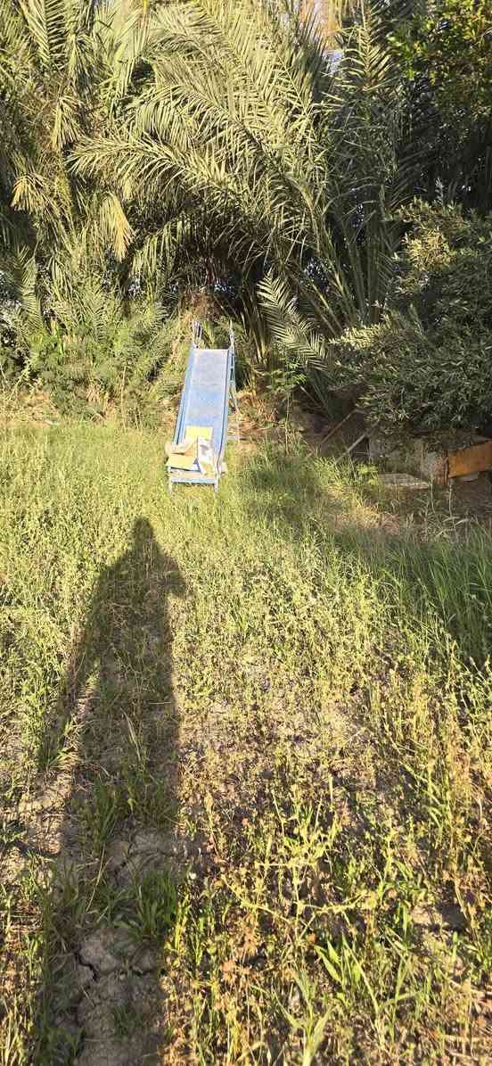 بستان للبيع ٤ونص دونم صوب بني ركاب طريق سيد مناحي قرب مدرسة الرسول الأعظم أنوع الشجاروالنخيل متوفره كل خدمات تبليط كهرباء وماء ***********وبه وتساب
