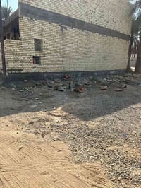 هور رجب • ٥٠م • سند ٢٥