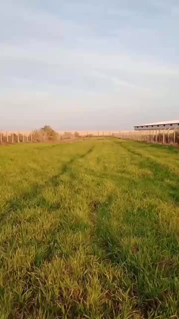 سلام عليكم ورحمه الله وبركاته
دونيمن للبيع. طريق حمزه ديوانيه شارع عام طريق الزوار سايدين

🩸خدمات الأرض 

🌟..كهرباء 
🌟..مايي سقي  
🌟..مسيجه الأرض 
🌟..موكب بين شارع والقطار  
🌟..الارض صالحه للزراعه 
🌟.. موقعه ممميز بصف معمل 
🌟..الأرض طابو سند 25مداور باسم مشتري 

الاستفسار تصال على الرقم لو مراسله واتساب 
***********
