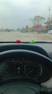 هيكل • ١٠٠م • قرب شارع العام