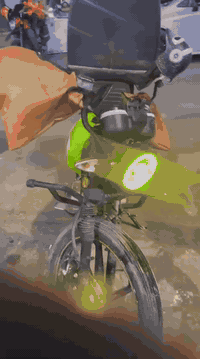 دراجه شاينك موديل 2024 دراجه مكفوله الماكينه برغي ممفتوح بس بيه نقوص ب...