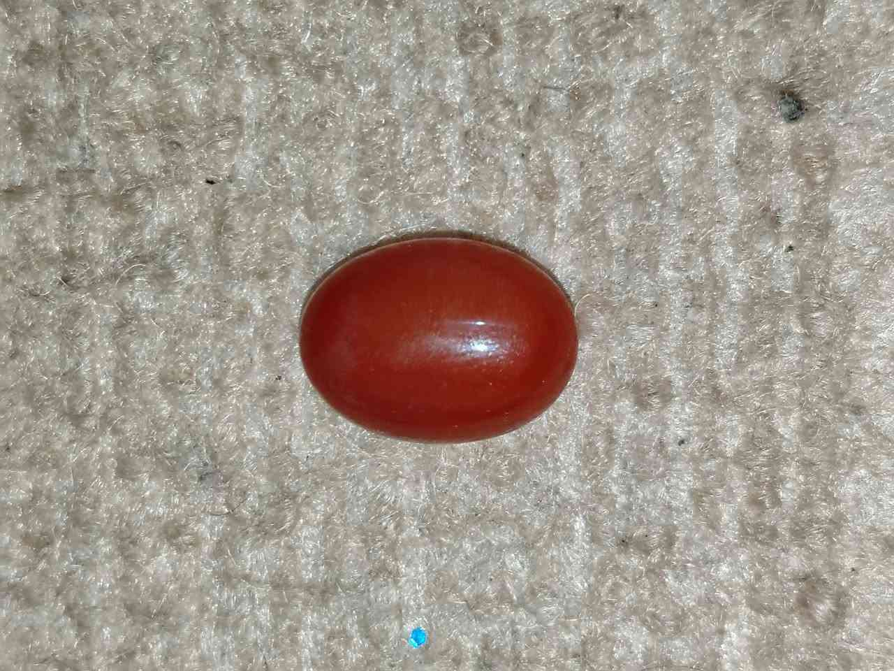 سلام عليكم للبيع شلع 40 *********** مكاني النجف الكوفه
