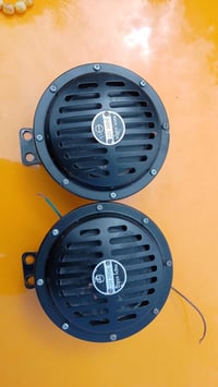 هورنات بوش • صوت صافي • ديونيه