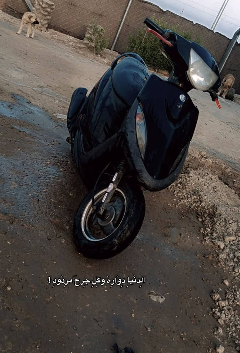 ماكس عدله المجفته نظيفه بس مراوس ايرانيه نامه اذا ابيع ب350


**إذا كنت صاحب هذا الإعلان وتريد حذفه لأي سبب، رجاءا أرسل رسالة إلى الدعم الفني**