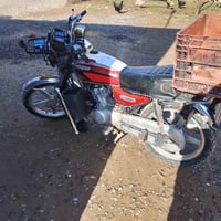 تايگر 2020 • موتوسيكل • القيارة ازهيليلة