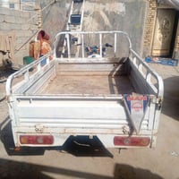 ستوته • شطره • أوراق صولي