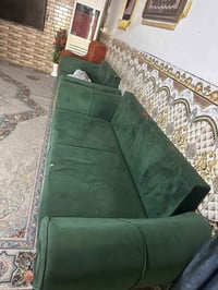 تخم قنفات تسكام 250 الف 07744538833