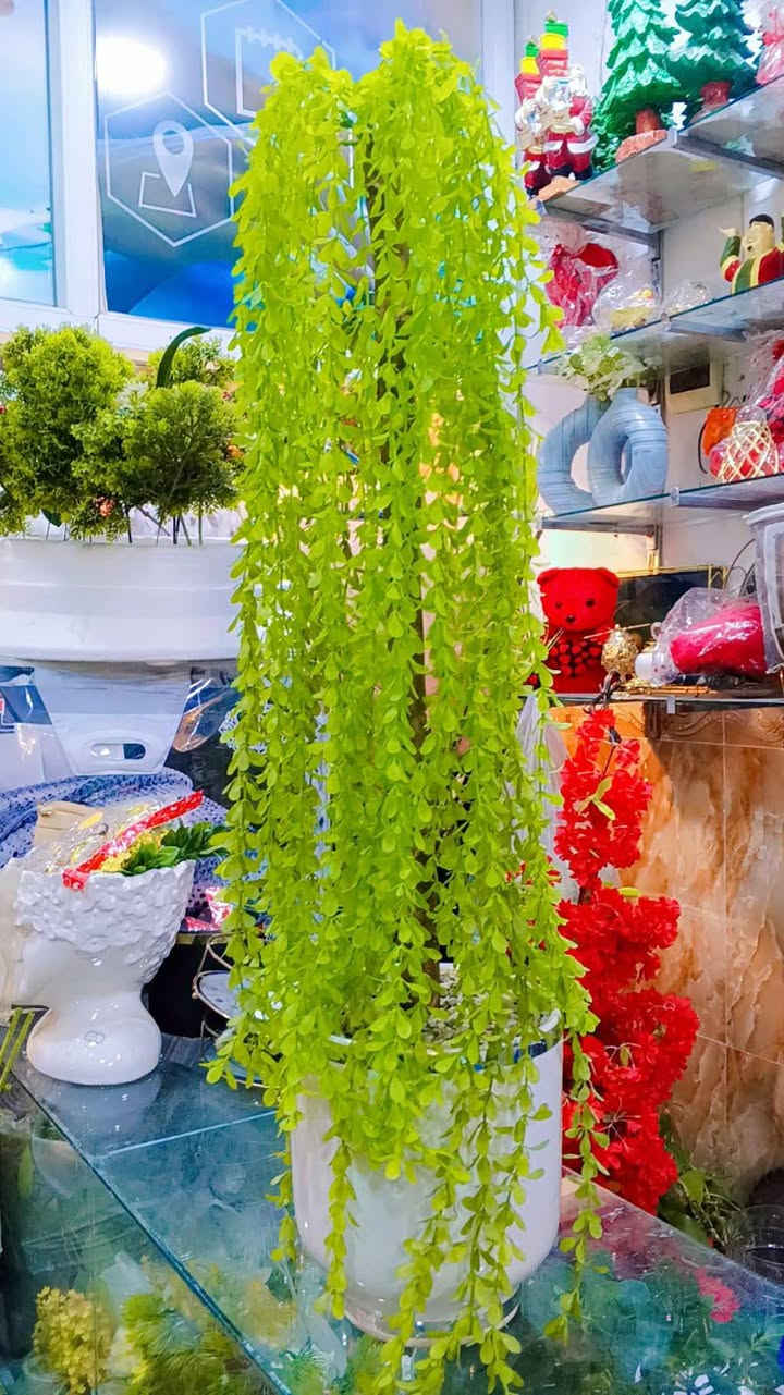 💐💐💐💐💐💐


**إذا كنت صاحب هذا الإعلان وتريد حذفه لأي سبب، رجاءا أرسل رسالة إلى الدعم الفني**