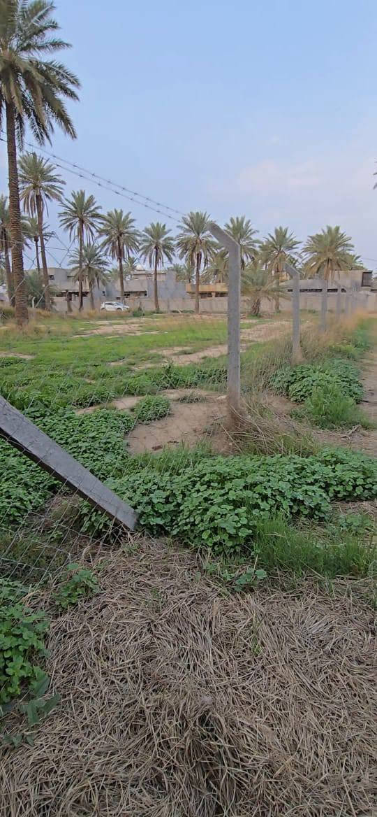 1485 متر متاح للبي.ع واجهة 27 نزال 57 متر ، سند 25 جسر ديالى الصمدية ، للإستفسار الإتصال على
الرقم  ***********  بالقرب من مدرسة الفراهيدي الابتدائية
1485 متر متاح للبي.ع واجهة 27 نزال 57 متر ، سند 25 جسر ديالى الصمدية ، للإستفسار الإتصال على
