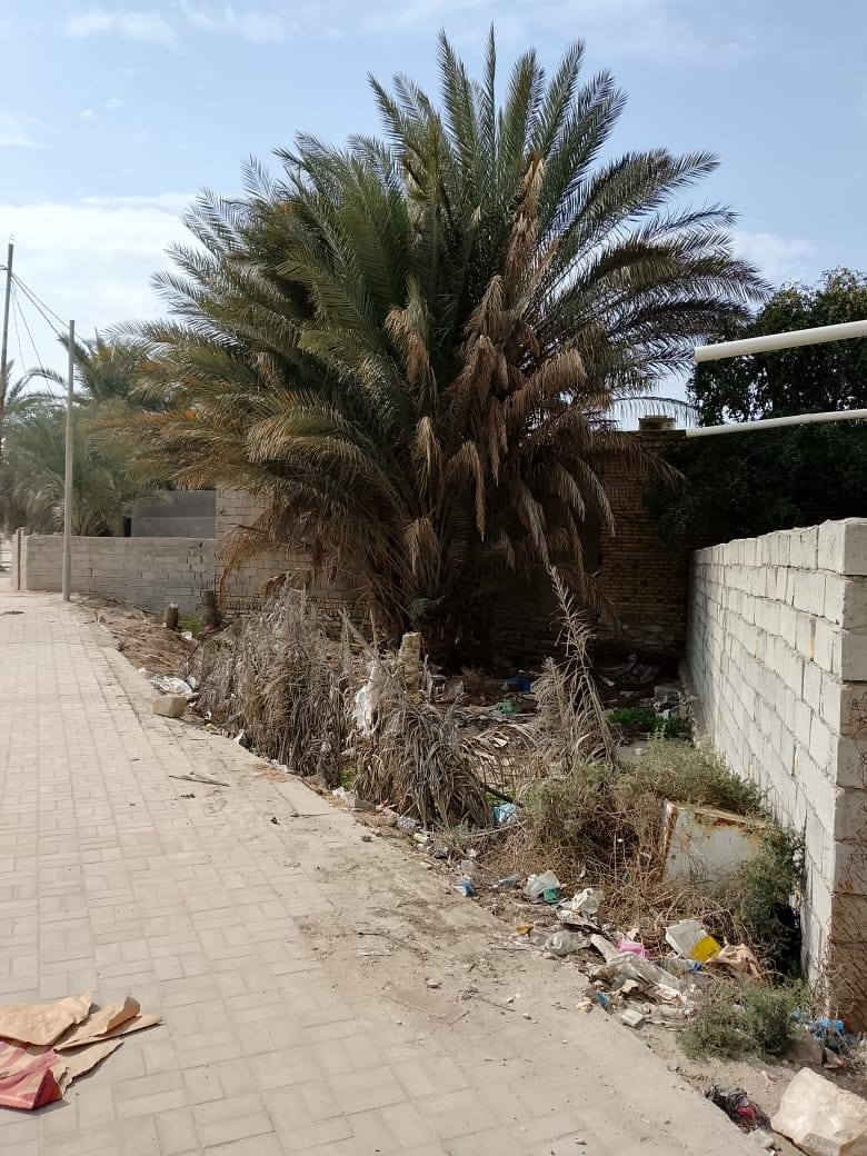 الارض الاستثمار شارع المسبح المساحة 150متر الرقم ***********
