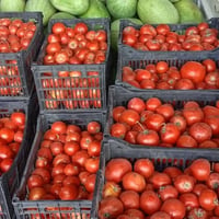 اسعار الطماطا • طماطا • سعر الطماطم • طماطم • خضروات • اسعار الخضار • ...