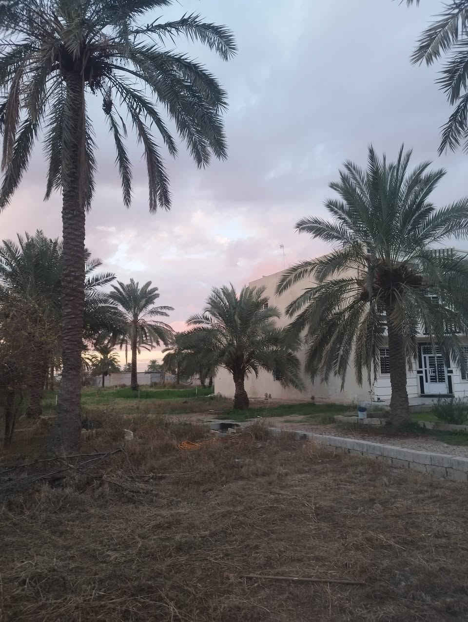 سلام عليكم يوجد دونمين ونص طابو ملك صرف المكان المدائن جسرديالى التويثة 
الاستفسار الاتصال ***********
