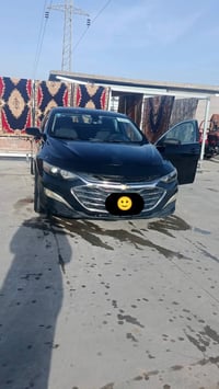 ماليبو • ٢٠٢٢ • مصبوغ