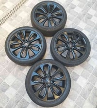 تخم ويل كوري اصلي مكفول مصبوغ حراري حجم ١٨ للبيع السعر ٢٥٠ الف ٠٧٨٠٩٠٢...