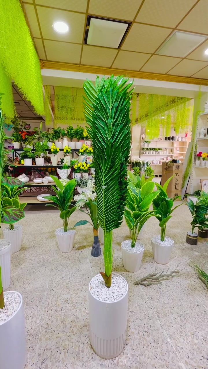 مجمع إسطنبول خانقين مقابل معمل النسيج مجاور دلسوز البزاز لا يوجد توصيل


**إذا كنت صاحب هذا الإعلان وتريد حذفه لأي سبب، رجاءا أرسل رسالة إلى الدعم الفني**