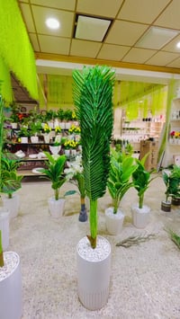 مجمع إسطنبول • خانقين • ماكو توصيل