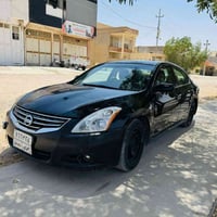 التيما • ٢٠١٢ • رقم سليمانية