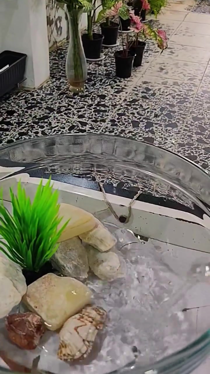 🐢🥰


**إذا كنت صاحب هذا الإعلان وتريد حذفه لأي سبب، رجاءا أرسل رسالة إلى الدعم الفني**