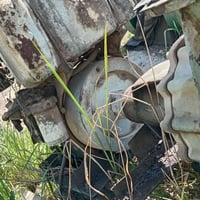 ماطور للبيع ١٩ إحصان دويز ألماني شغال ٥ في ٥ تبريد دهن 07810503802