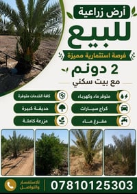 مزرعة • ٢دونم • نخيل