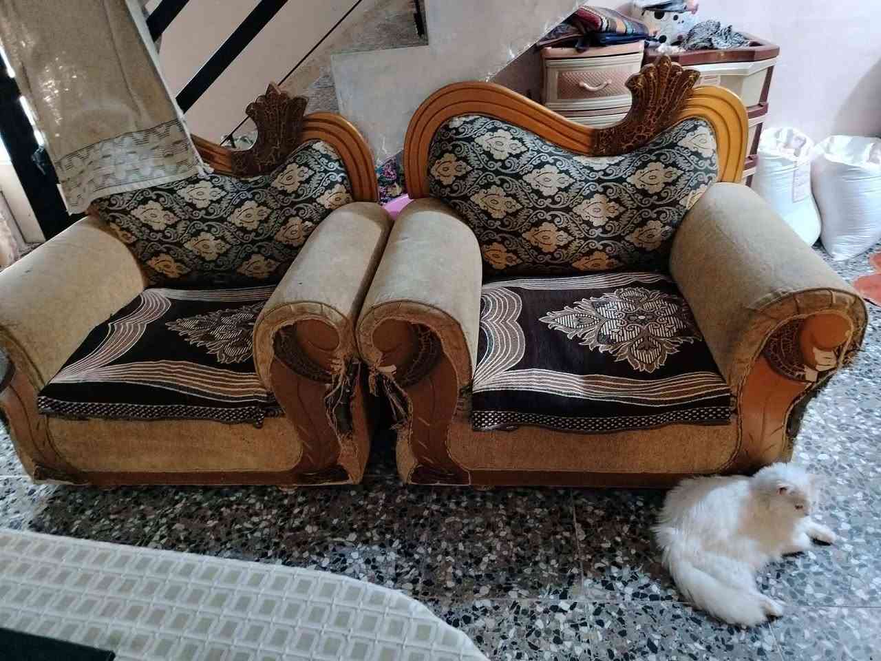 مبرده شغاله 40 وتخم 100 بي مجال


**إذا كنت صاحب هذا الإعلان وتريد حذفه لأي سبب، رجاءا أرسل رسالة إلى الدعم الفني**