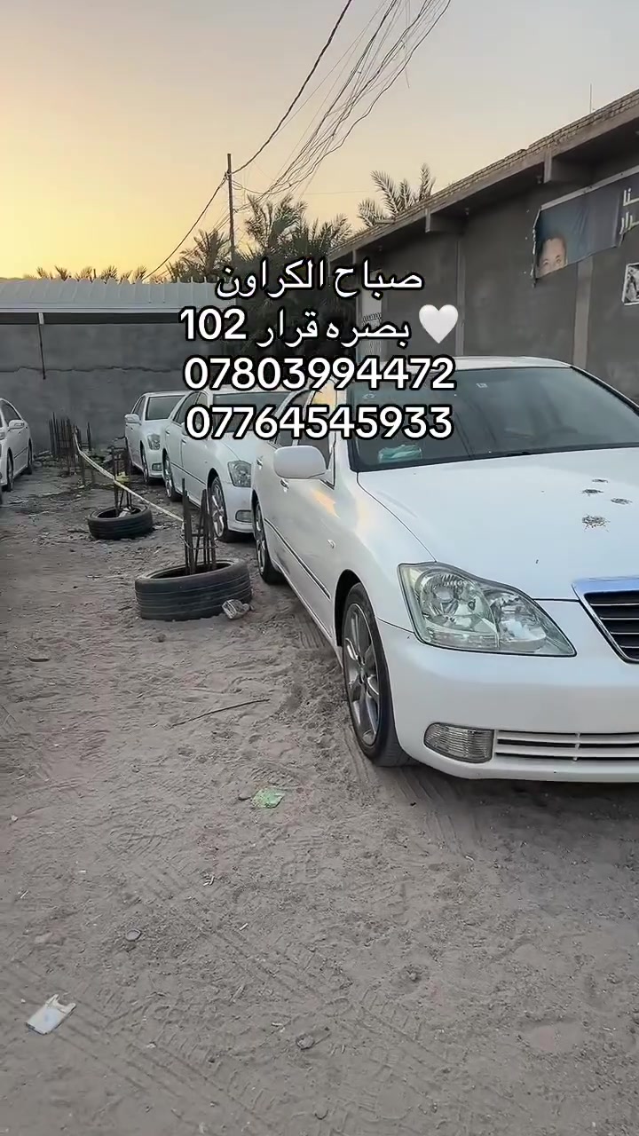السلام عليكم
للبيع شاهينات 
ارقام بصره قرار 102
العنوان البصره قضاء المدينه 
***********
***********
