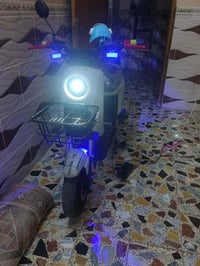 دراجة شحن • كهربائية • المجر الكبير