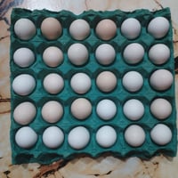 بيض صلطاني • بيض دندراوي • بصرة مطيحه