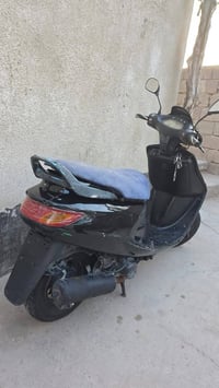 فراشة • فحل • نظيفه