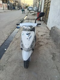 هندر • شغاله • سلف