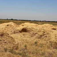 تبن • للبيع • خانقين