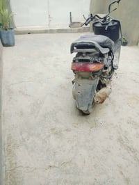 فراشة • فحل • قرية غدير