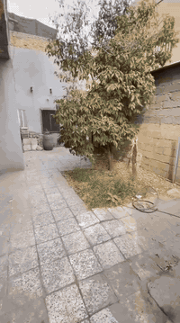 بيت بالكرادة يصلح مخزن للاستفسار ***********
