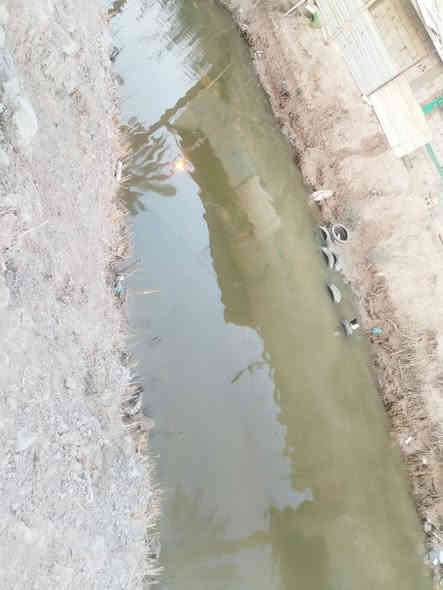 ✅بستان  مع بيت للبيع   دونم ✅👇🏻👇🏻
بيت طابقين بناء حديث طابوك
#مساحتها : ⚜️ ((2500)) ⚜️

#العنوان 👈🏻 :  البصرة ابي الخصيب سبيليات الغربيه شارع الوسطي
موقع ع نهر جاري وتبليط

#نوع العقار 📑  : طابو صرف  عراقي تحويل 
سعر 550 وبي مجال 
جيران ناس ذهب
استفسار ***********
