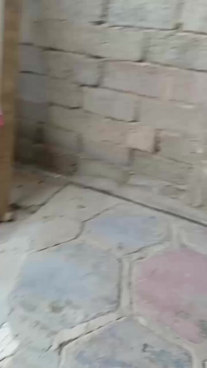 ***********. فلوجه حي المعلمين توصيل موجود..
