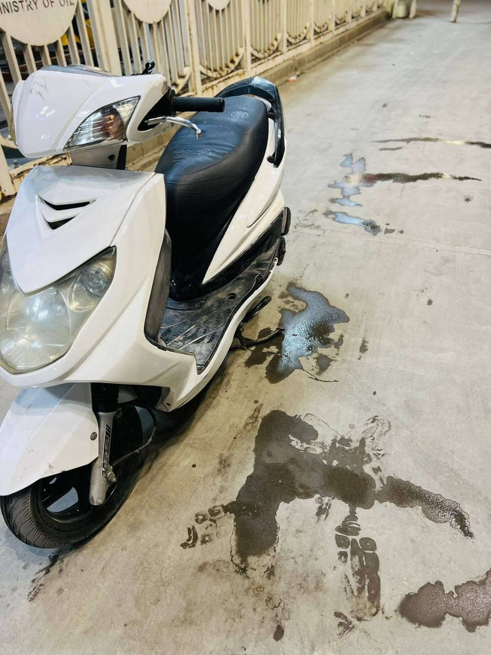 سكنس فحل نوزل ناشفه لا تبخير لا نضوح لا تنقيص درجه خير من الله نكره سلف من صبح مابيها نقص يمكن بس كلج السعر 650 الرقم *********** بغداد بلديات
