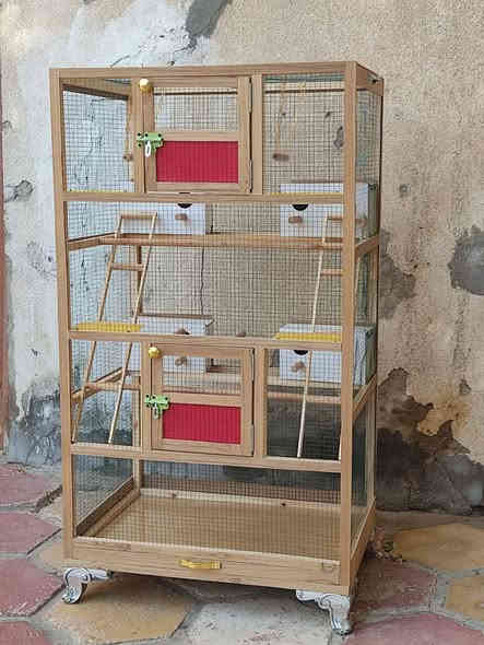 لبيع قفص خشبي غير مستعمل عمل نجاره جديده قياساته الارتفاع 1.60 العرض 85cm النزال 60cm يحتوي على بيوت عدد 4 درج عدد 2 مراجيح عدد 2 وعلى مجرى للتنظيف جراره القفص احله من الصور يحتاج فقط إلى طيور حسب الرغبه سعر 80الف وبيه مجال ناصريه حي اور خلف جامع الحسن *********** يوجد واتساب
