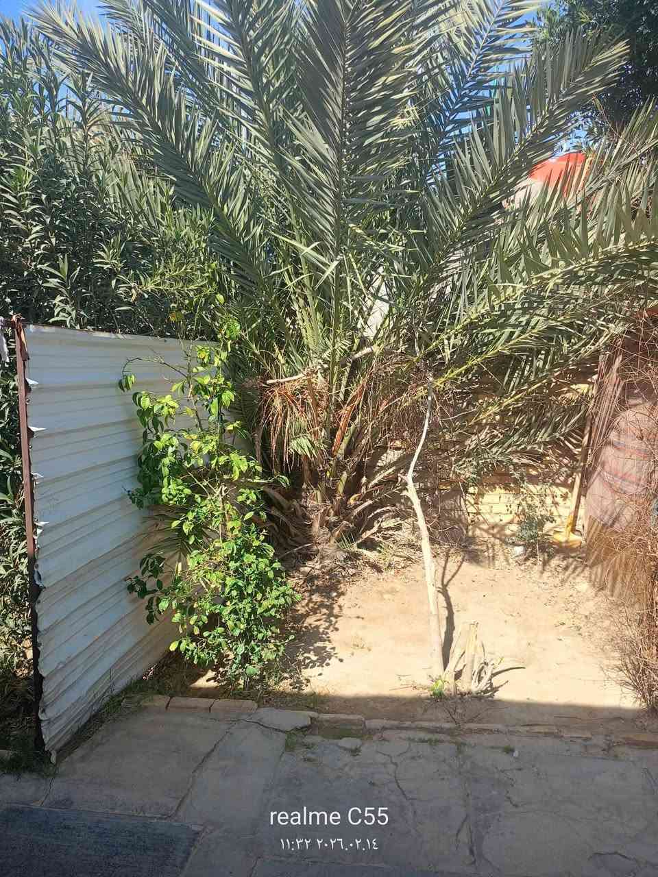 ياالله يازراق بيت للبيع المساحة الكليه 300 متر على ساحه حي  الامام  منطقة خويلد يتكون من استقبال وغرقيتين ومطبخ وصحيات خارجية وحديقة كافة الخدمات موجوده ماء كهرباء  تبليط ارصفه مجاري مدارس جامع  الأرض ماليه ومشموله بالتطويب البيوت كلها مرقمه وبي وصل من البلديه قريب على الامام الحمزه  للاسفسار ومعرفة التفاصيل والسعر  مراسلة الصفحة أو الاتصال الأرقام  ***********
